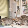 050416_sans titre_040-102